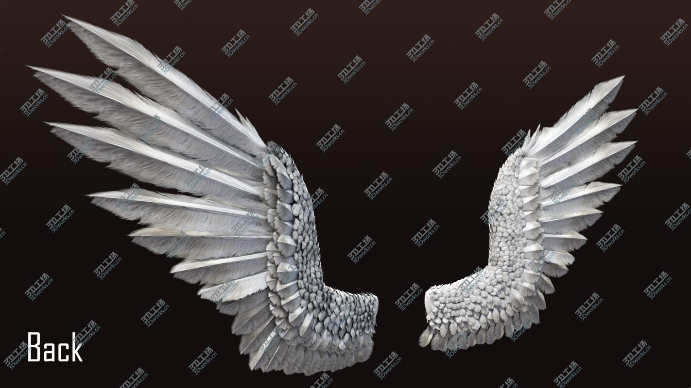 images/goods_img/20210113/3D Pair of Bird Wing [C4D] model/4.jpg